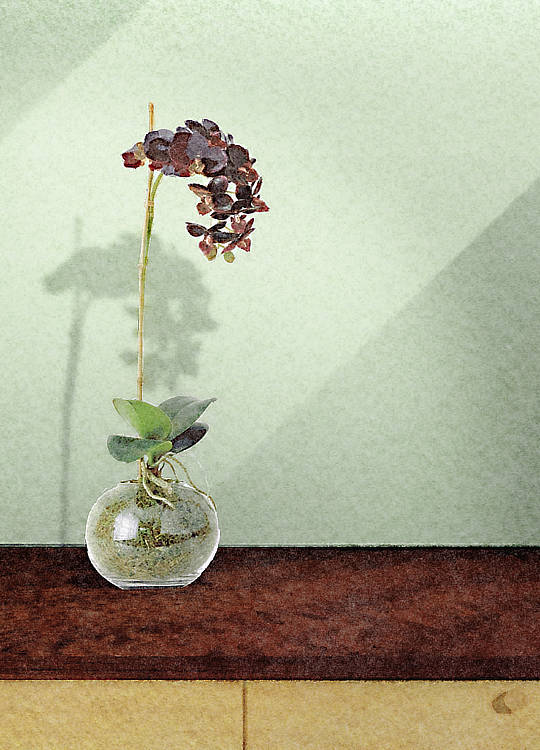 Traditionelles Japanisches Tokonoma Ikebana Blumenarrangement